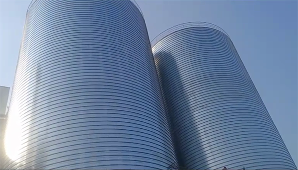 槐荫2座混凝土高架卷板仓